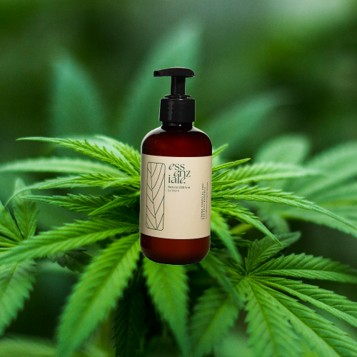 Body Cream Essenziale – SOLD OUT – find it available at www.superpharm.pl/marki/vojiro.html