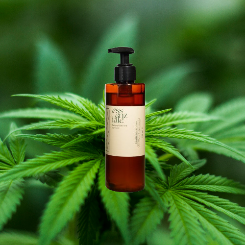 Shampo – Essenziale