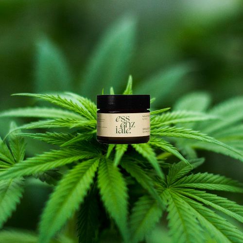 Ointment – Essenziale